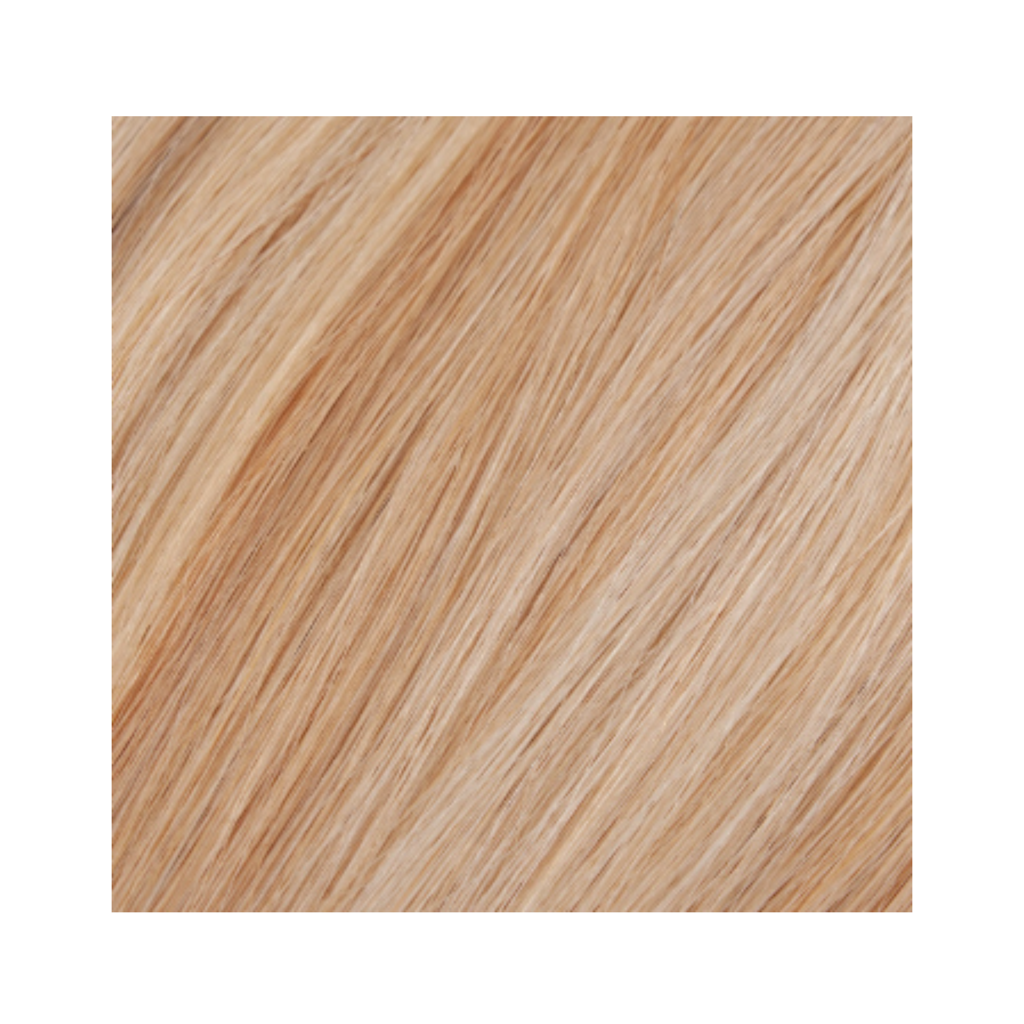 EXTENSIONS À BANDE