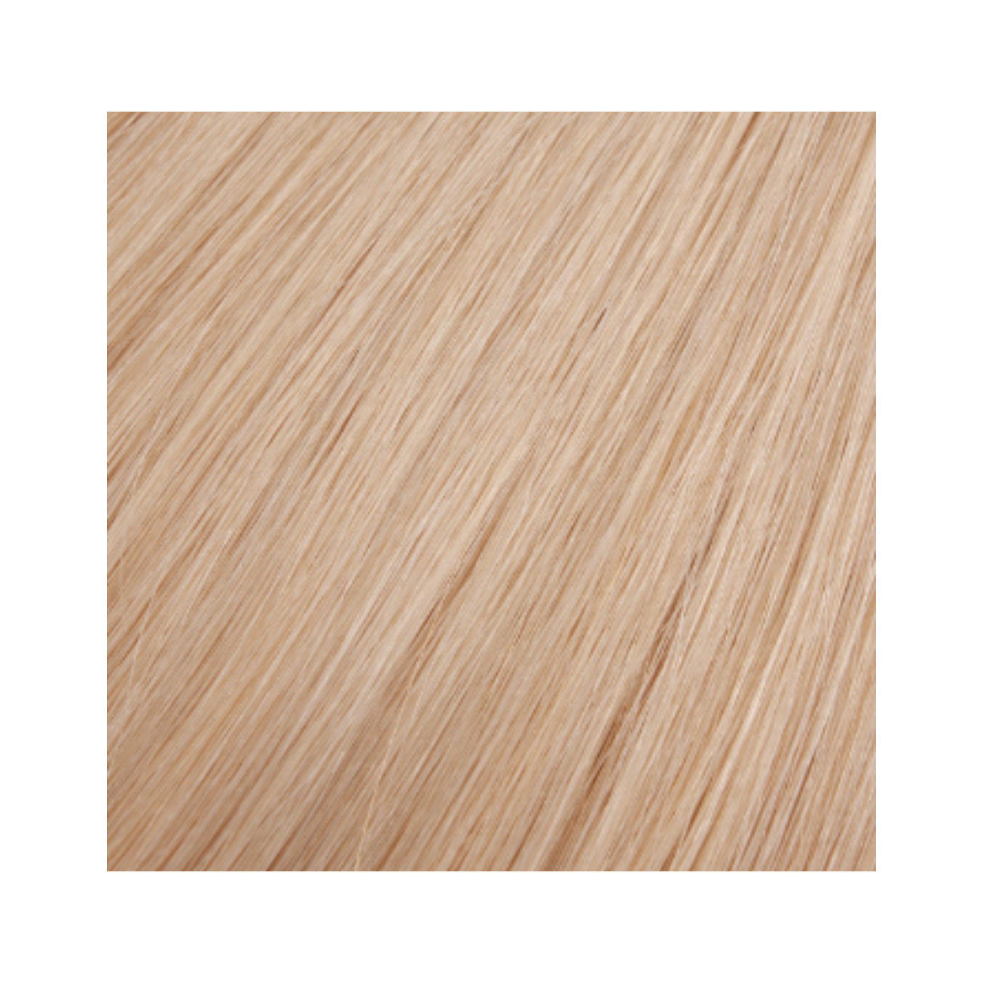 EXTENSIONS À BANDE