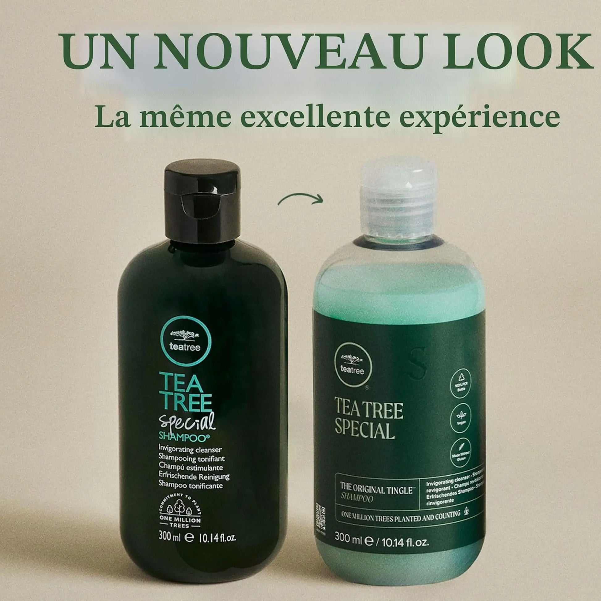 Bouteille verte et blanche de Paul Mitchell Shampoing Tea Tree Special, 300 ml