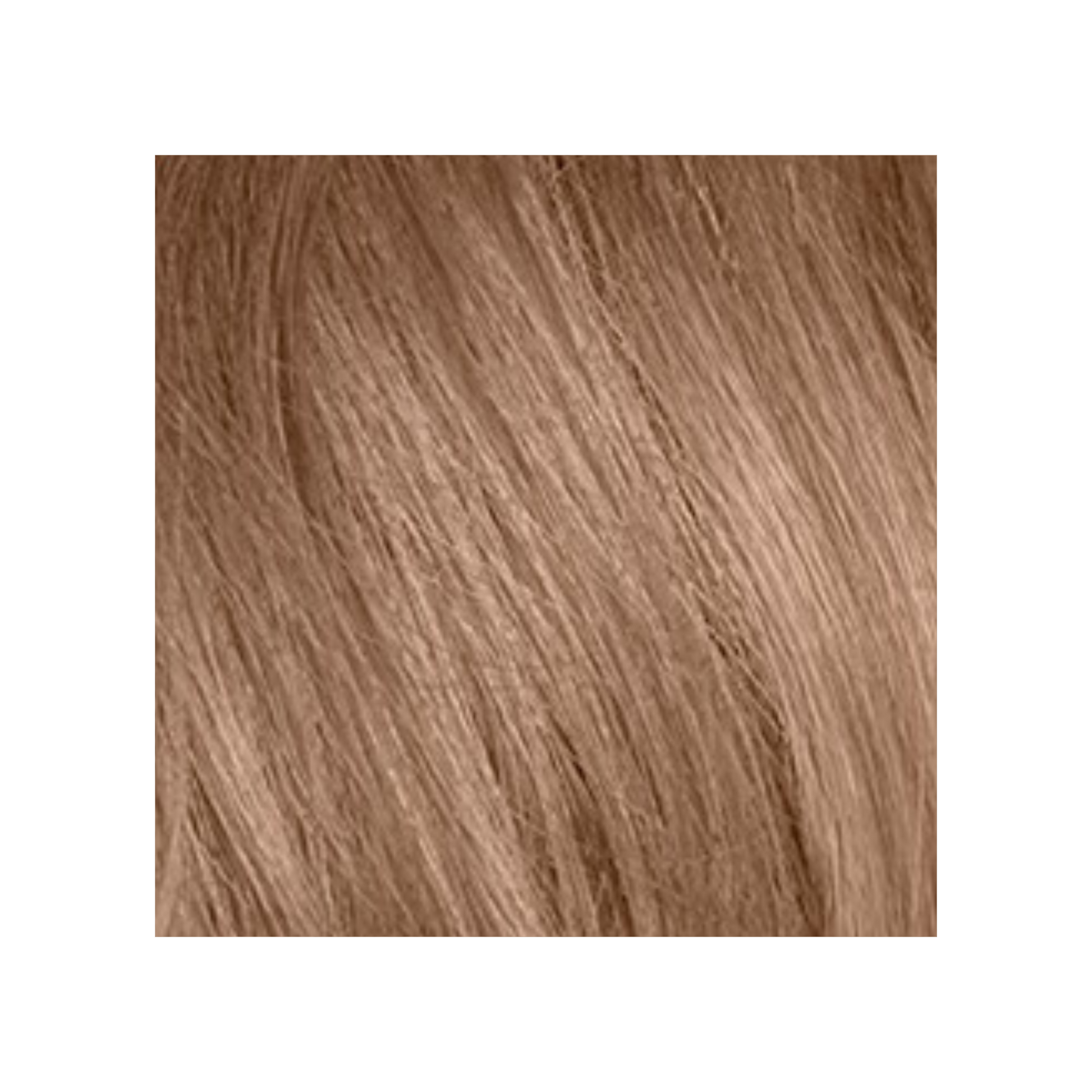 REVLON_Revlonissimo Colorsmetique - Coloration permanente (Niveau 8)_60ml-8.24 - Blond clair perlé cuivré_Gisèle produits de beauté