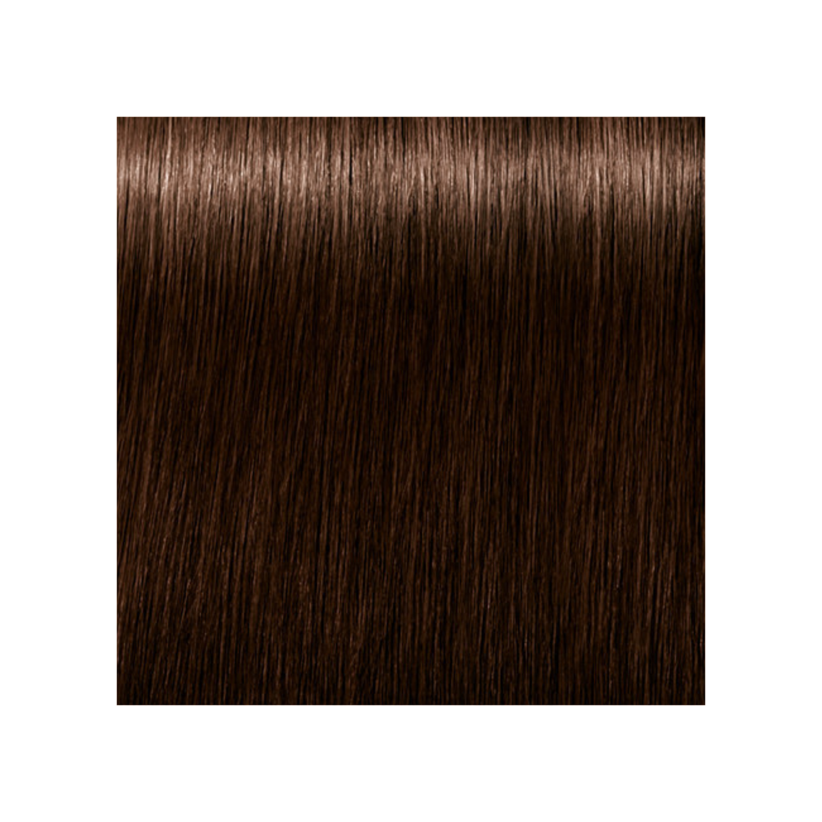 SCHWARZKOPF PROFESSIONNEL_Igora Royal Absolutes - Crème de coloration permanente anti-âge_60ml-4-60 - Châtain moyen marron naturel_Gisèle produits de beauté