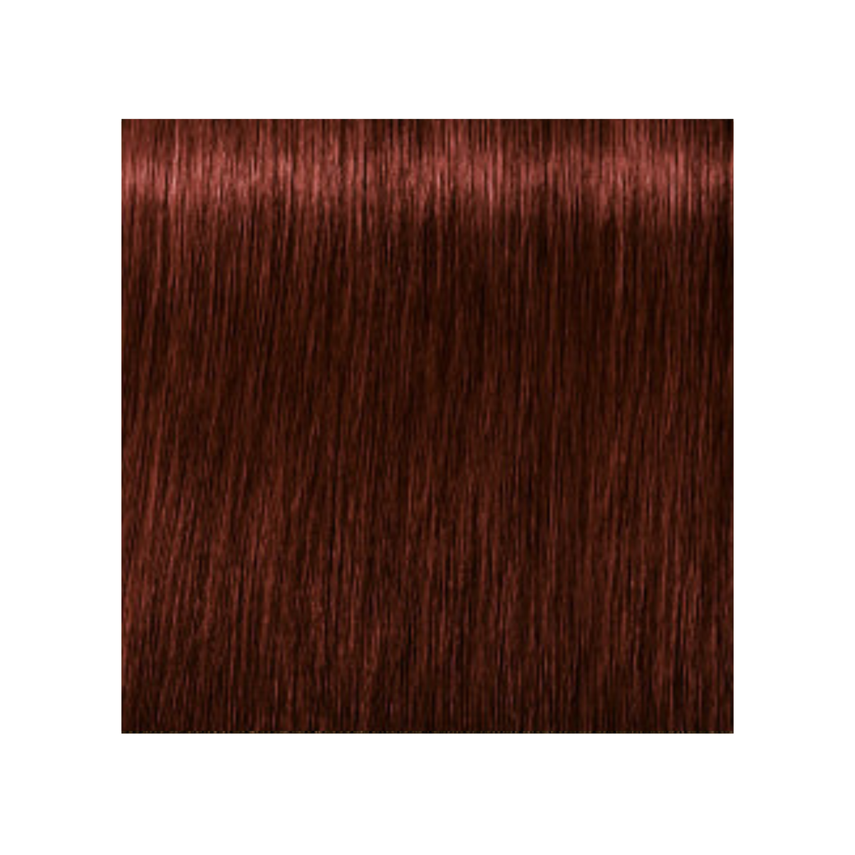 SCHWARZKOPF PROFESSIONNEL_Igora Royal Absolutes - Crème de coloration permanente anti-âge_60ml-5-80 - Châtain clair rouge naturel_Gisèle produits de beauté