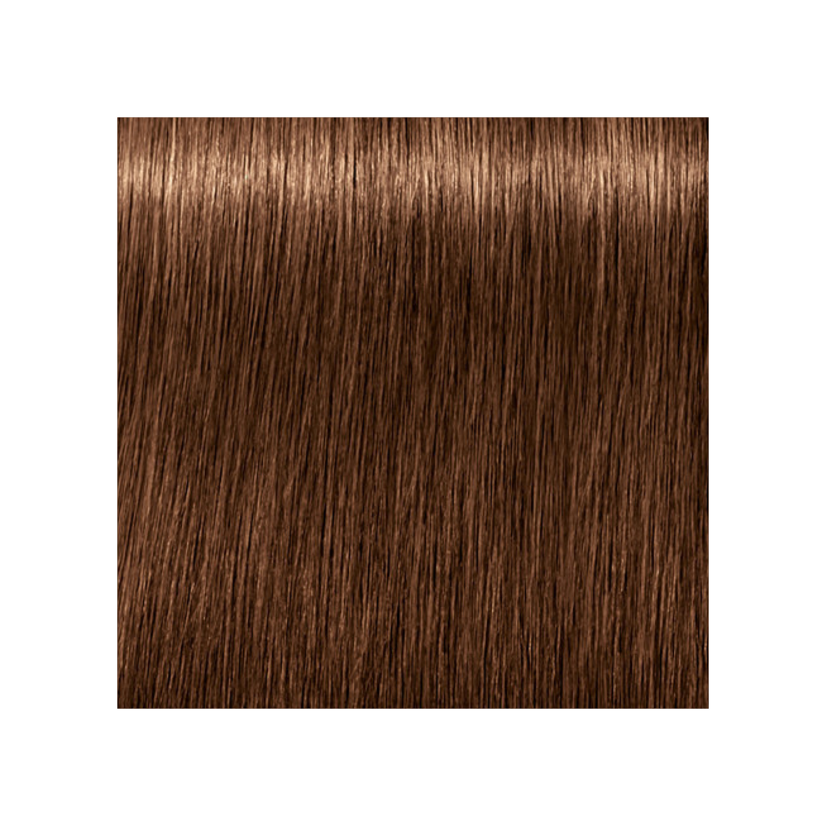 SCHWARZKOPF PROFESSIONNEL_Igora Royal Absolutes - Crème de coloration permanente anti-âge_60ml-6-60 - Blond foncé marron naturel_Gisèle produits de beauté
