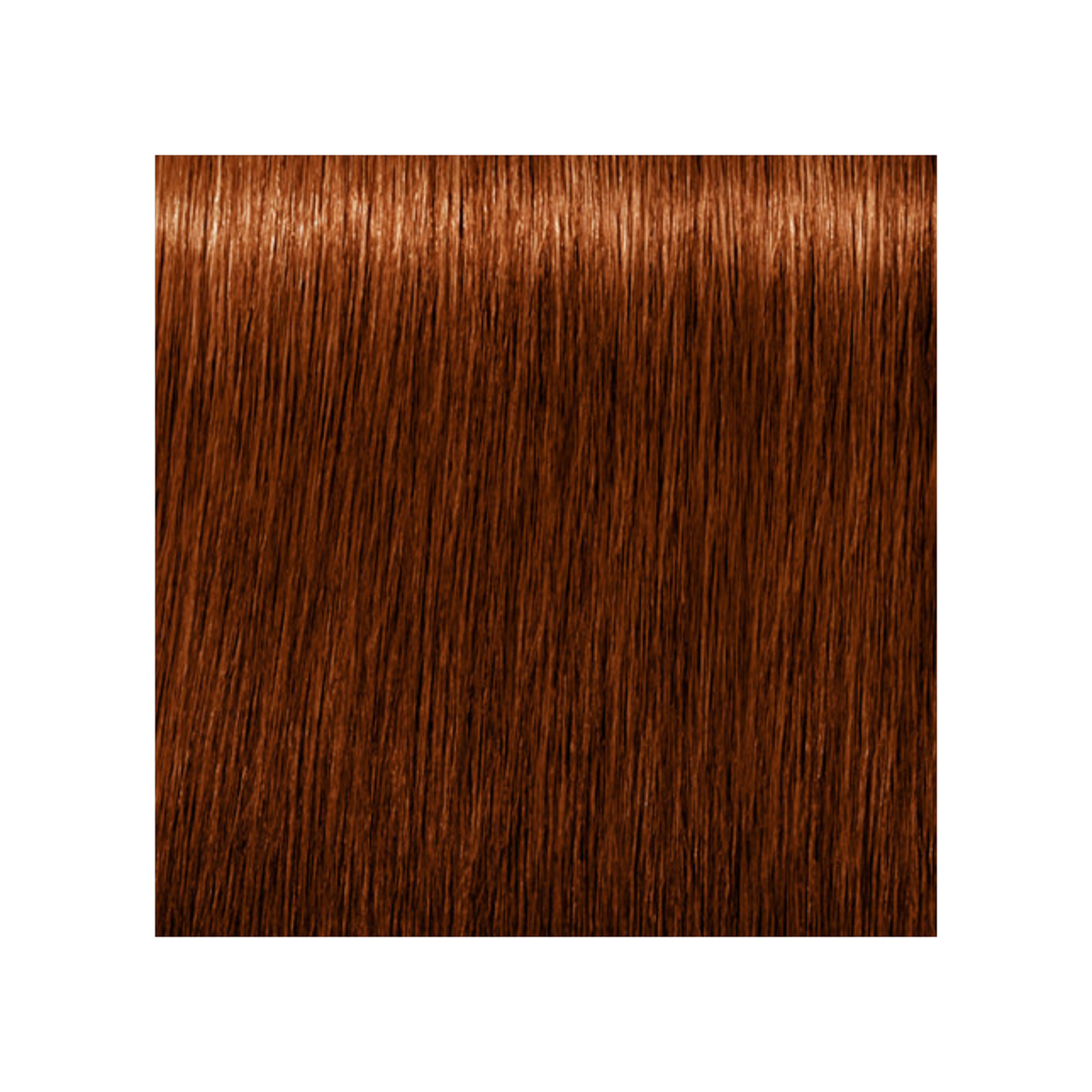 SCHWARZKOPF PROFESSIONNEL_Igora Royal Absolutes - Crème de coloration permanente anti-âge_60ml-6-70 - Blond foncé cuivré naturel_Gisèle produits de beauté