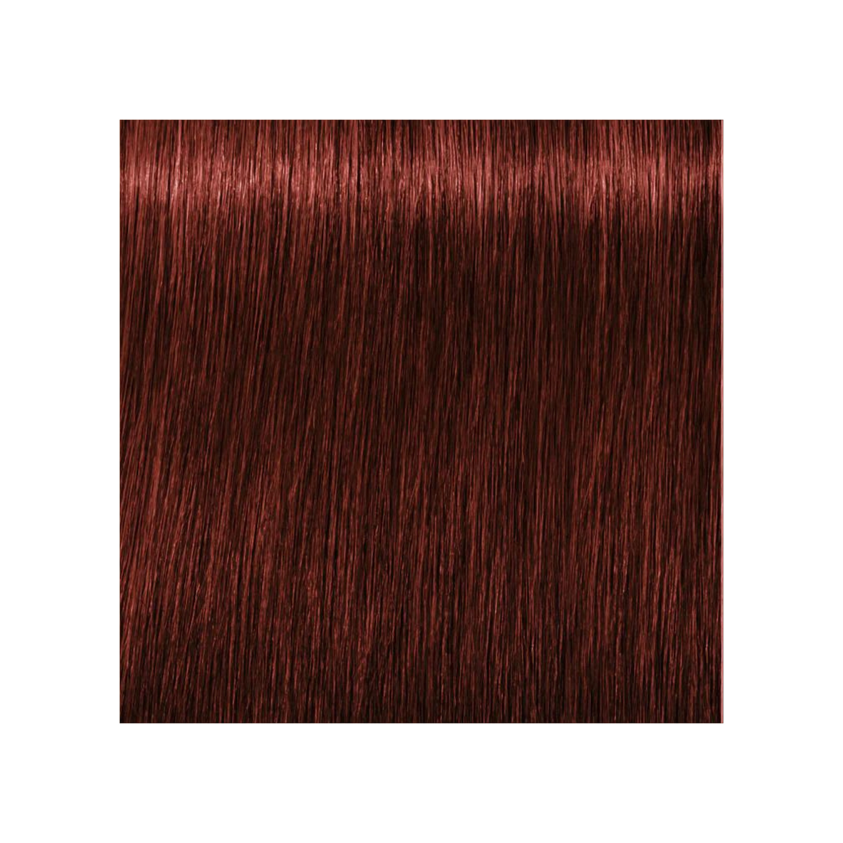 SCHWARZKOPF PROFESSIONNEL_Igora Royal Absolutes - Crème de coloration permanente anti-âge_60ml-6-80 - Blond foncé rouge naturel_Gisèle produits de beauté