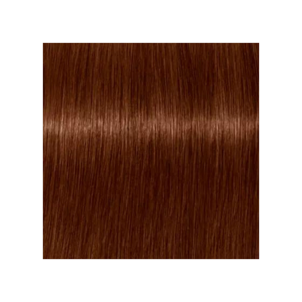 SCHWARZKOPF PROFESSIONNEL_Igora Royal Absolutes - Crème de coloration permanente anti-âge_60ml-7-470 - Blond moyen beige cuivré naturel_Gisèle produits de beauté