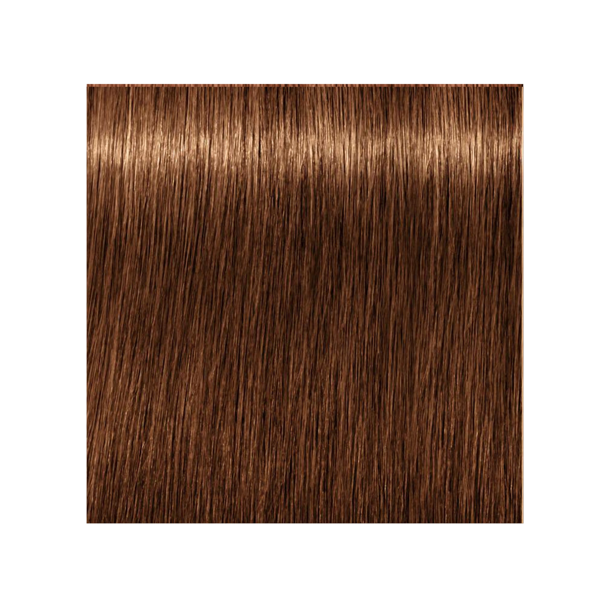 SCHWARZKOPF PROFESSIONNEL_Igora Royal Absolutes - Crème de coloration permanente anti-âge_60ml-7-60 - Blond moyen marron naturel_Gisèle produits de beauté