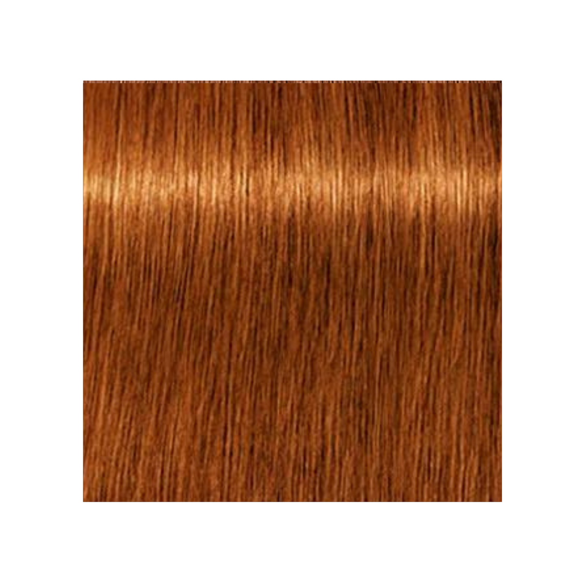 SCHWARZKOPF PROFESSIONNEL_Igora Royal Absolutes - Crème de coloration permanente anti-âge_60ml-7-70 - Blond moyen cuivré naturel_Gisèle produits de beauté