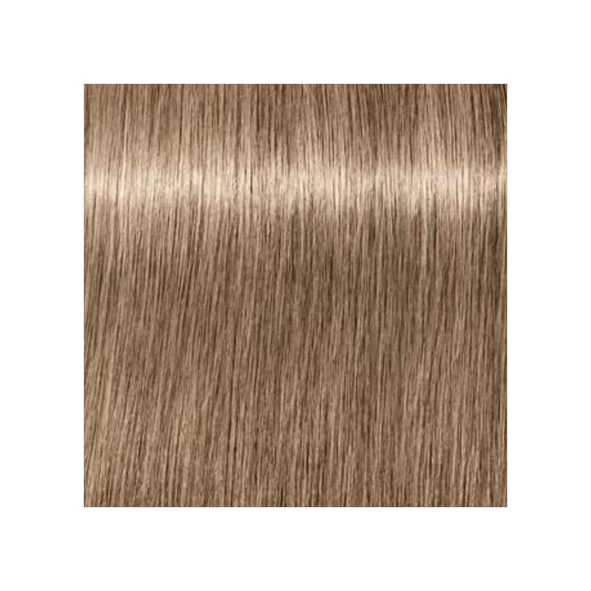 SCHWARZKOPF PROFESSIONNEL_Igora Royal Absolutes - Crème de coloration permanente anti-âge_60ml-8-01 - Blond clair cendré naturel_Gisèle produits de beauté