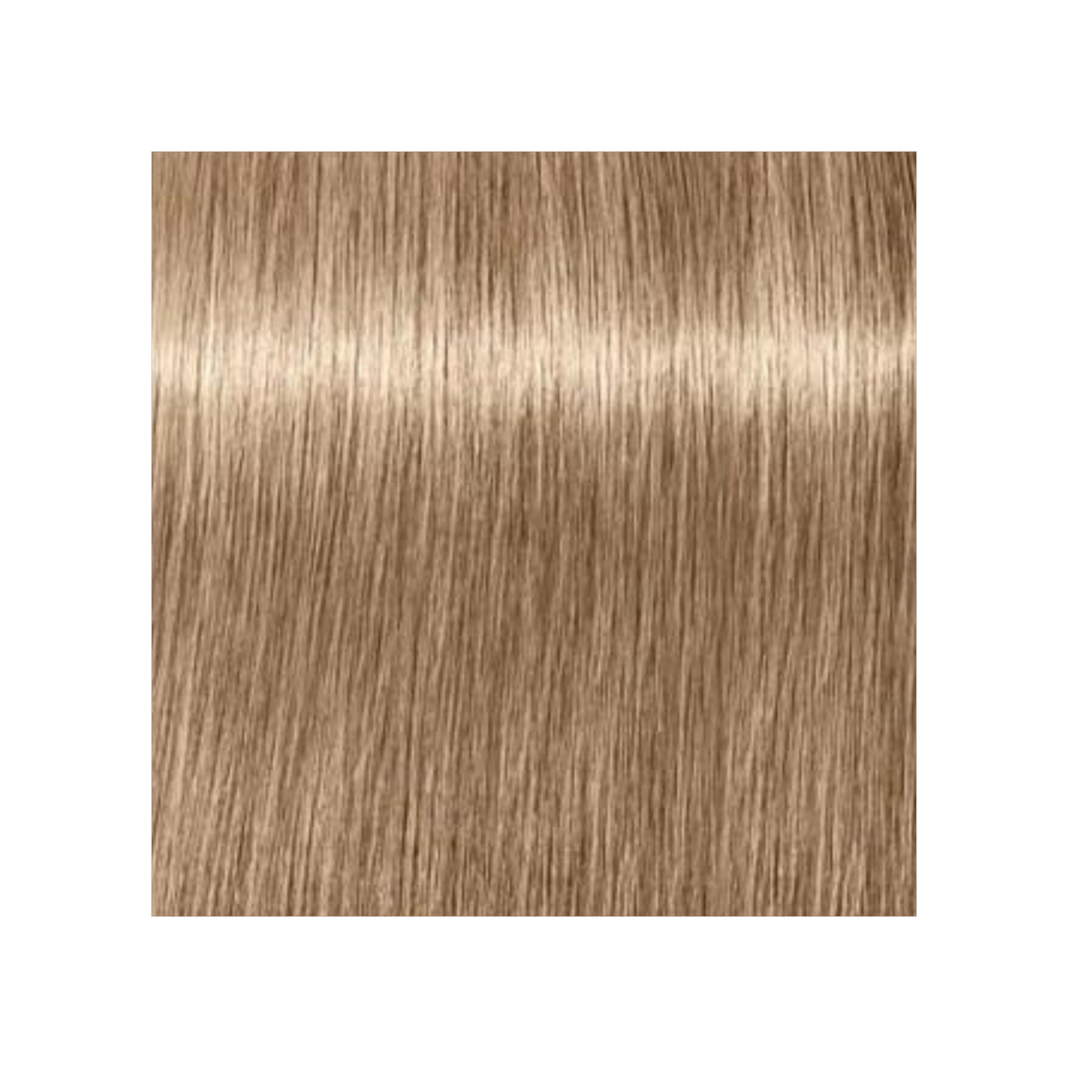 SCHWARZKOPF PROFESSIONNEL_Igora Royal Absolutes - Crème de coloration permanente anti-âge_60ml-8-140 - Blond clair cendré beige naturel_Gisèle produits de beauté