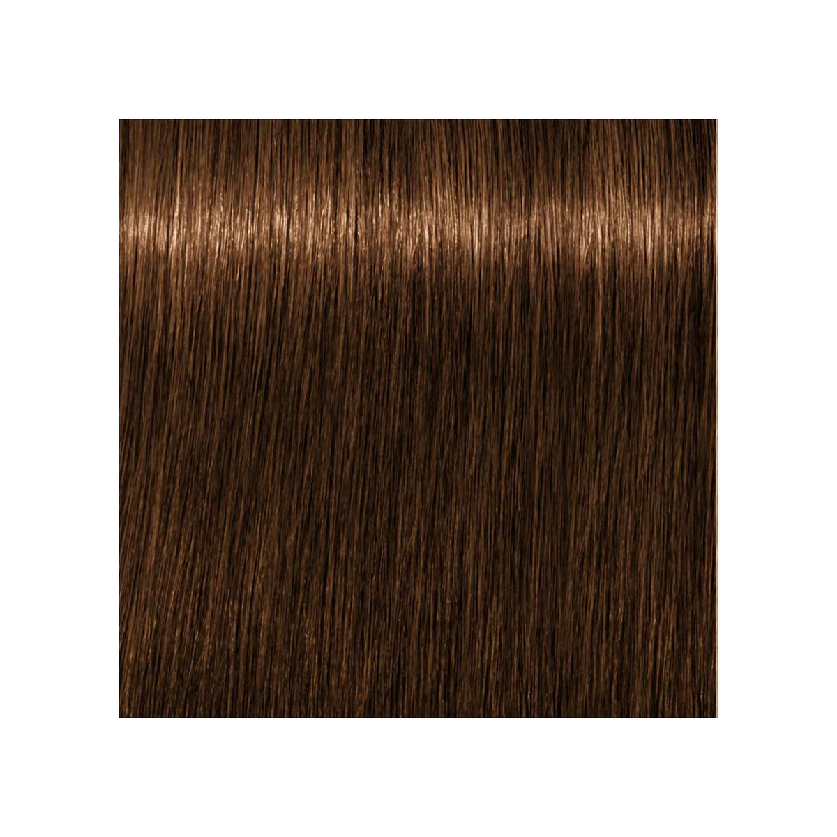SCHWARZKOPF PROFESSIONNEL_Igora Royal Absolutes - Crème de coloration permanente anti-âge_60ml-8-60 - Blond clair marron naturel_Gisèle produits de beauté