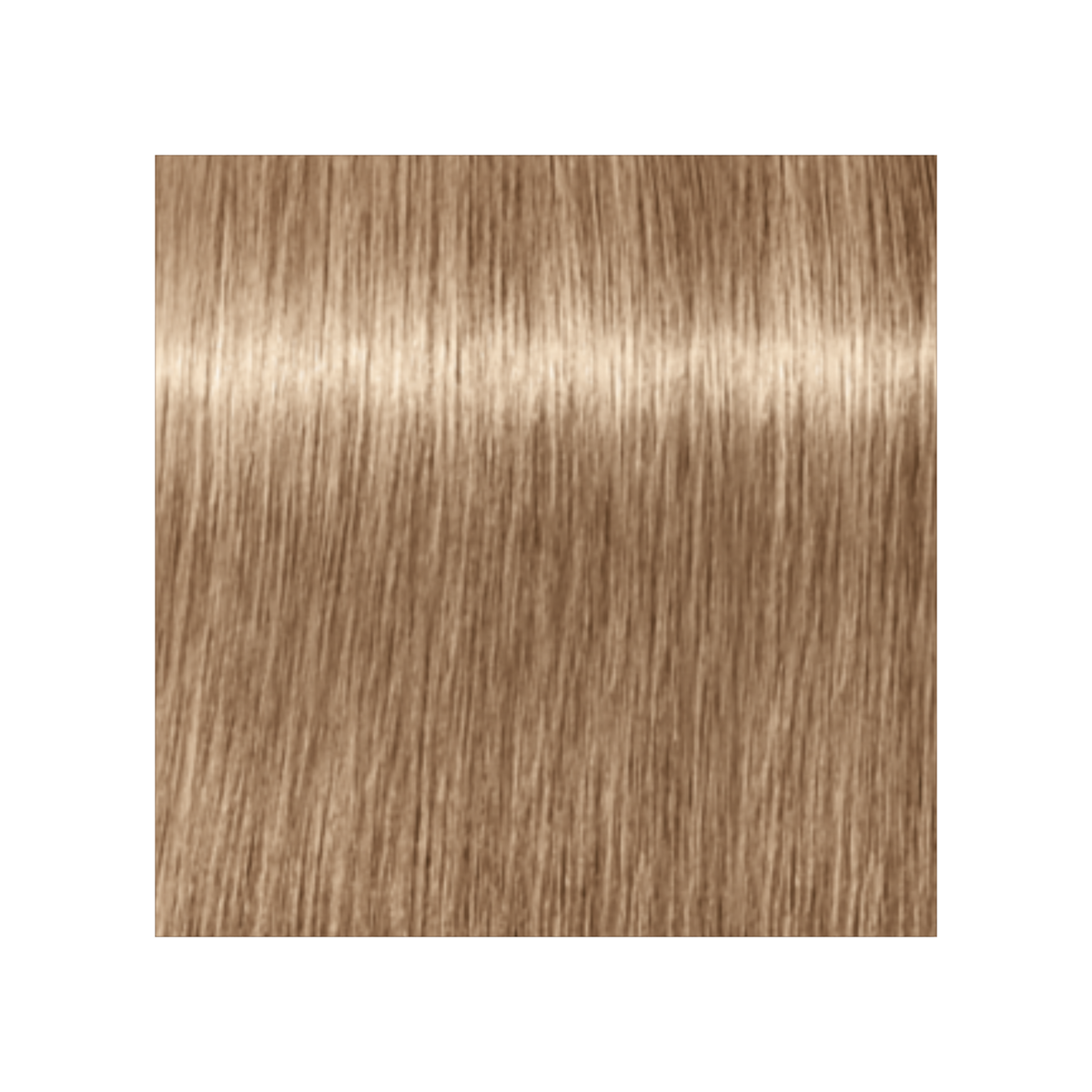 SCHWARZKOPF PROFESSIONNEL_Igora Royal Absolutes - Crème de coloration permanente anti-âge_60ml-9-140 - Blond très clair cendré beige naturel_Gisèle produits de beauté