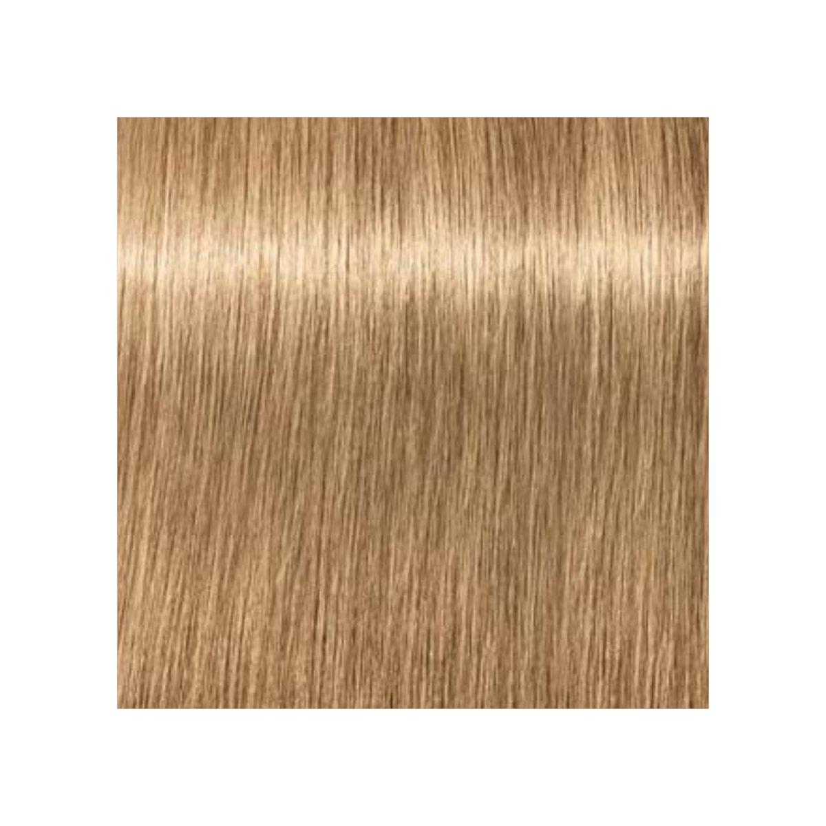 SCHWARZKOPF PROFESSIONNEL_Igora Royal Absolutes - Crème de coloration permanente anti-âge_60ml-9-40 - Blond très clair beige naturel_Gisèle produits de beauté