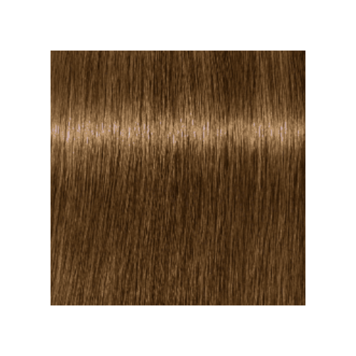 SCHWARZKOPF PROFESSIONNEL_Igora Royal Absolutes - Crème de coloration permanente anti-âge_60ml-9-460 - Blond très clair beige marron naturel_Gisèle produits de beauté