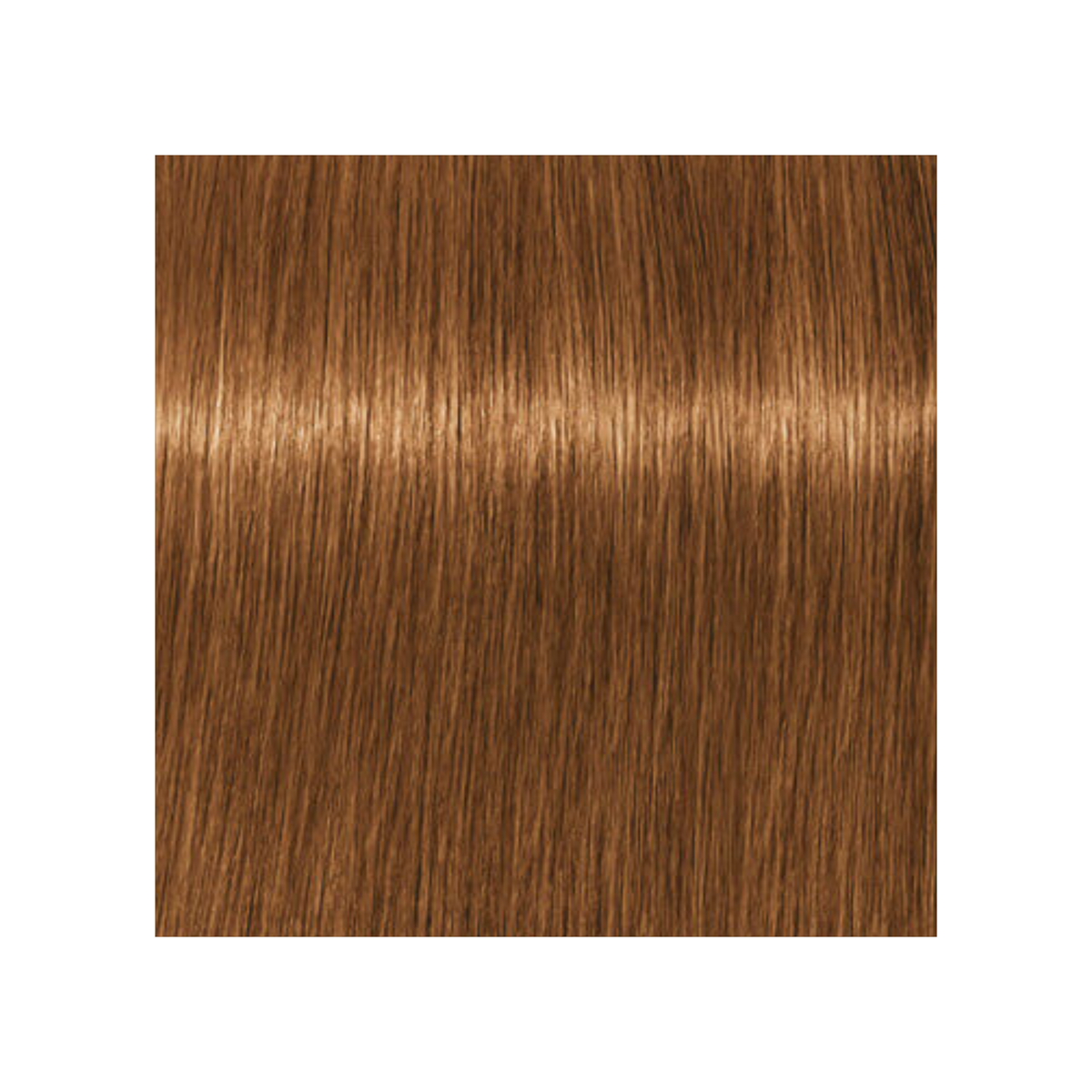 SCHWARZKOPF PROFESSIONNEL_Igora Royal Absolutes - Crème de coloration permanente anti-âge_60ml-9-470 - Blond très clair beige cuivré naturel_Gisèle produits de beauté