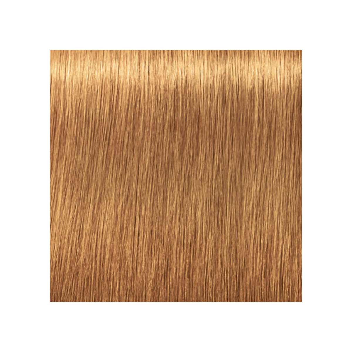 SCHWARZKOPF PROFESSIONNEL_Igora Royal Absolutes - Crème de coloration permanente anti-âge_60ml-9-60 - Blond très clair marron naturel_Gisèle produits de beauté