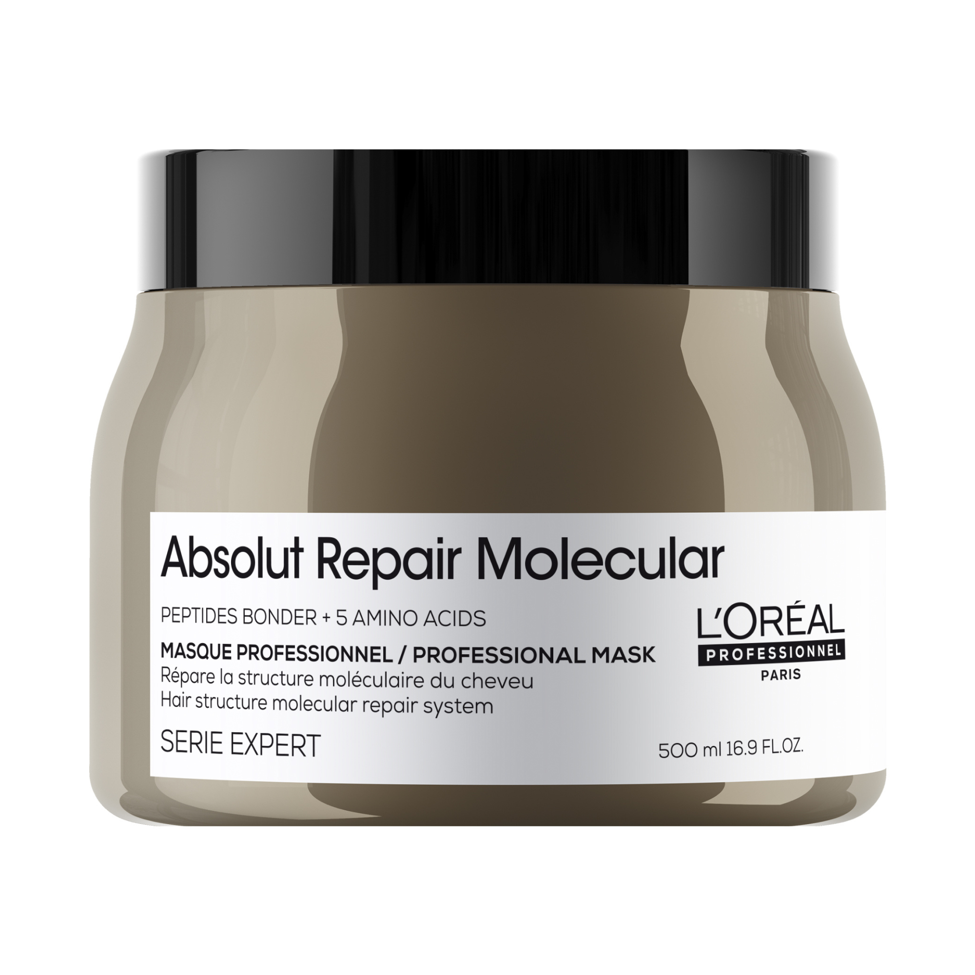 ABSOLUT REPAIR MOLECULAR - MASQUE