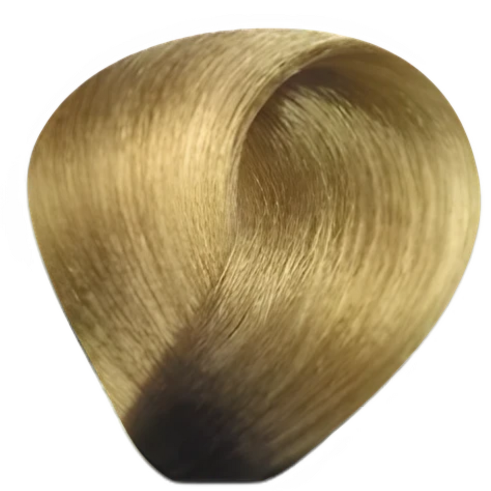 Bes Regal Zero - Coloration