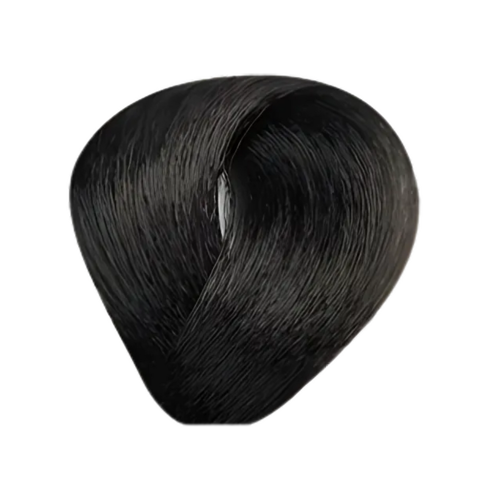 Bes Regal Zero - Coloration