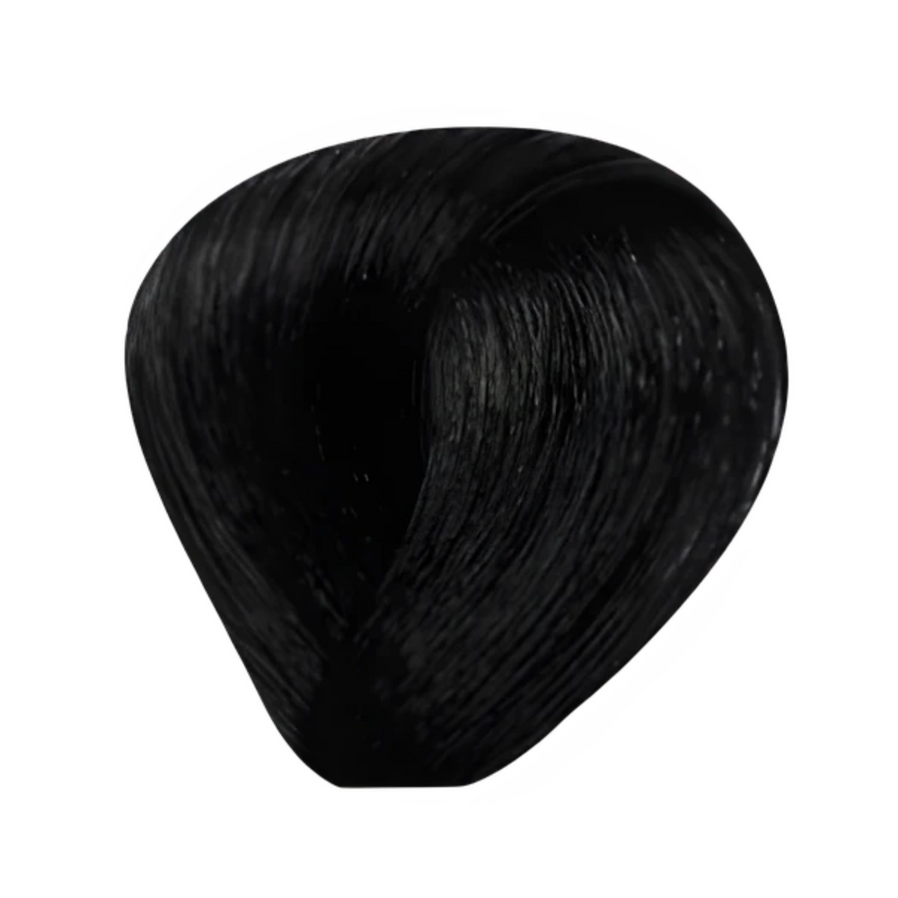 Bes Regal Zero - Coloration