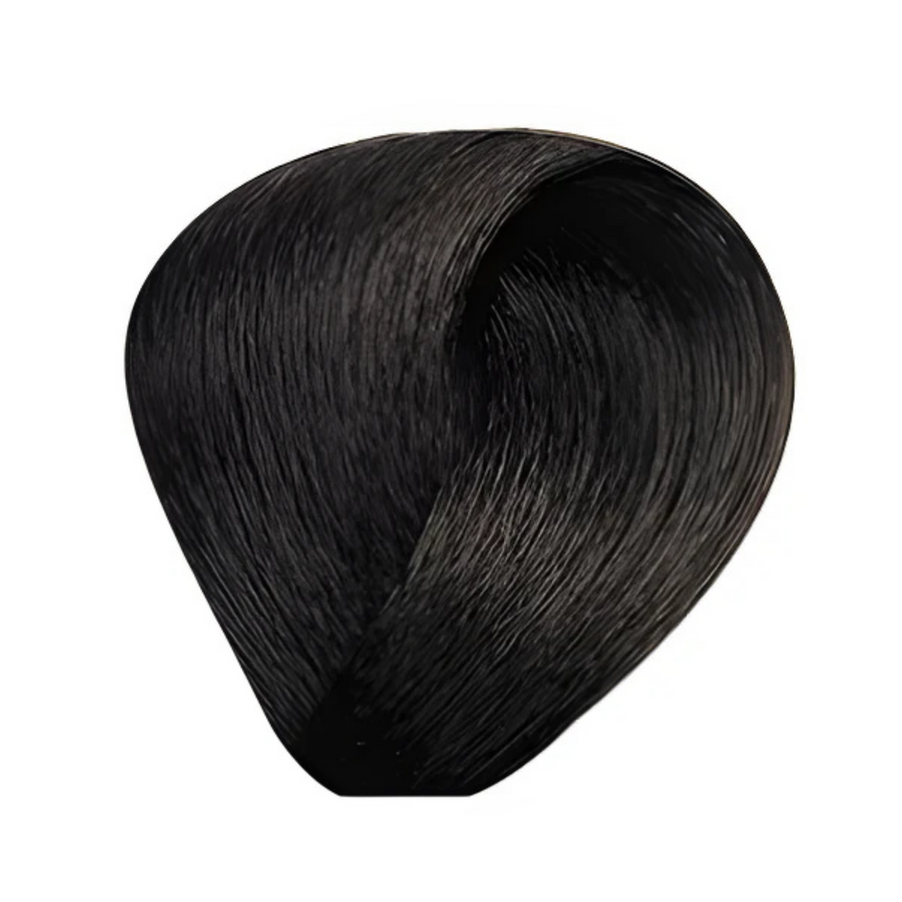 Bes Regal Zero - Coloration