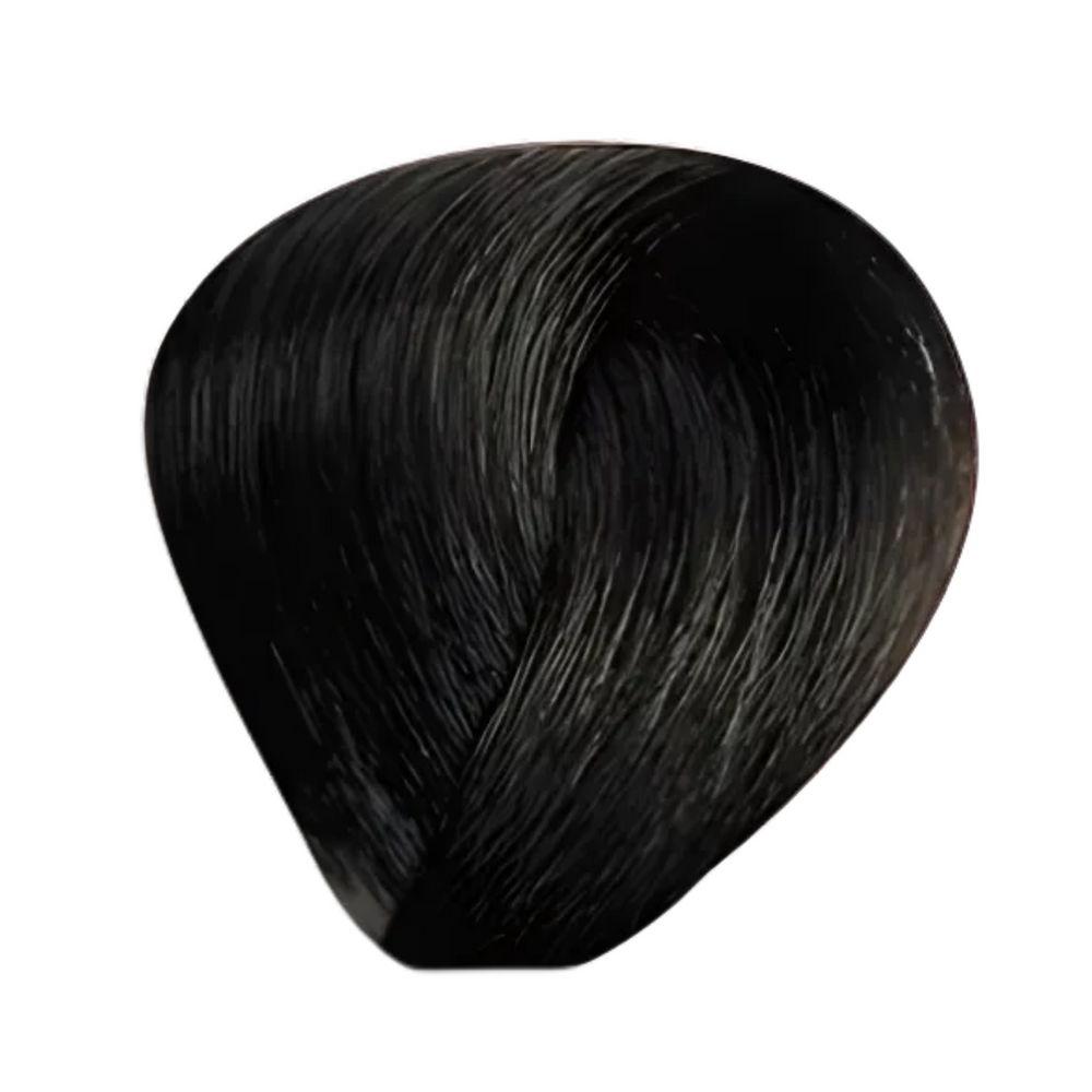 Bes Regal Zero - Coloration