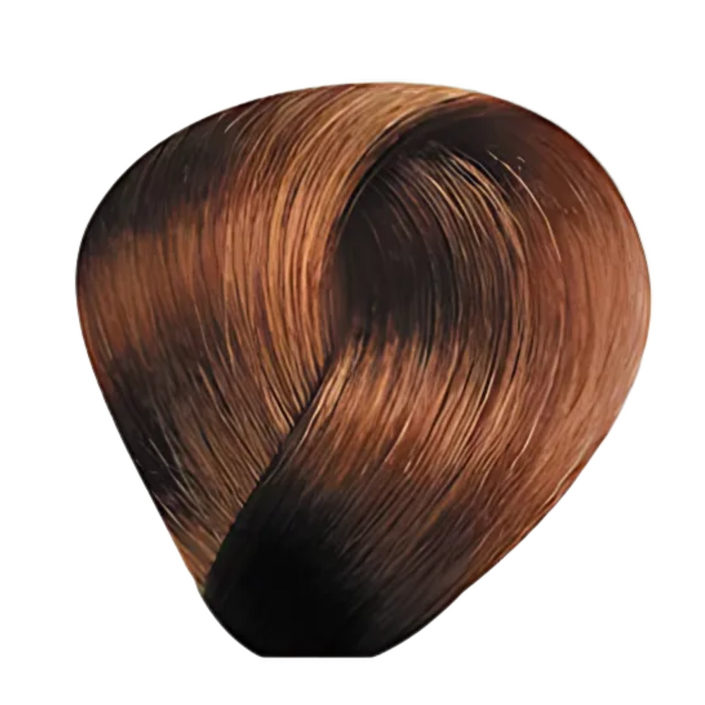 Bes Regal Zero - Coloration