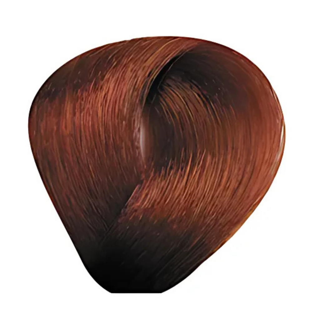 Bes Regal Zero - Coloration