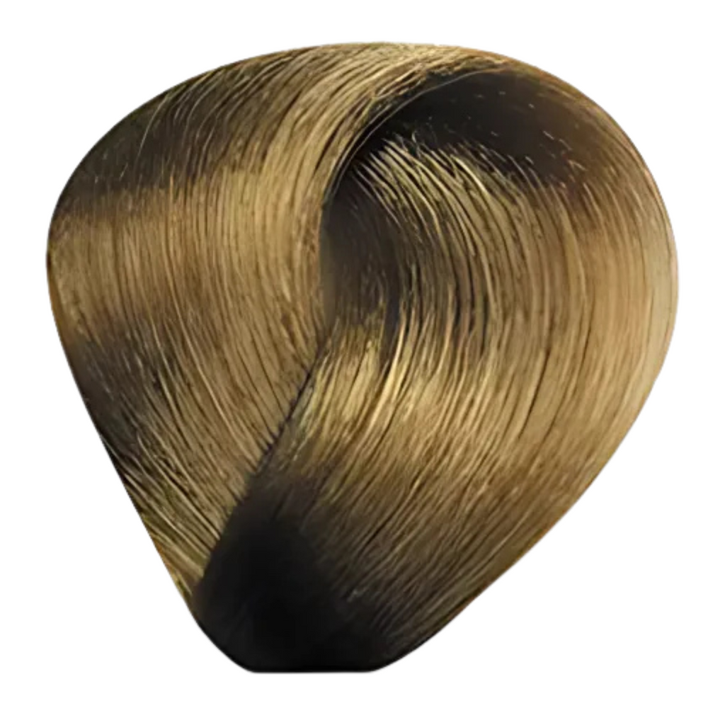 Bes Regal Zero - Coloration