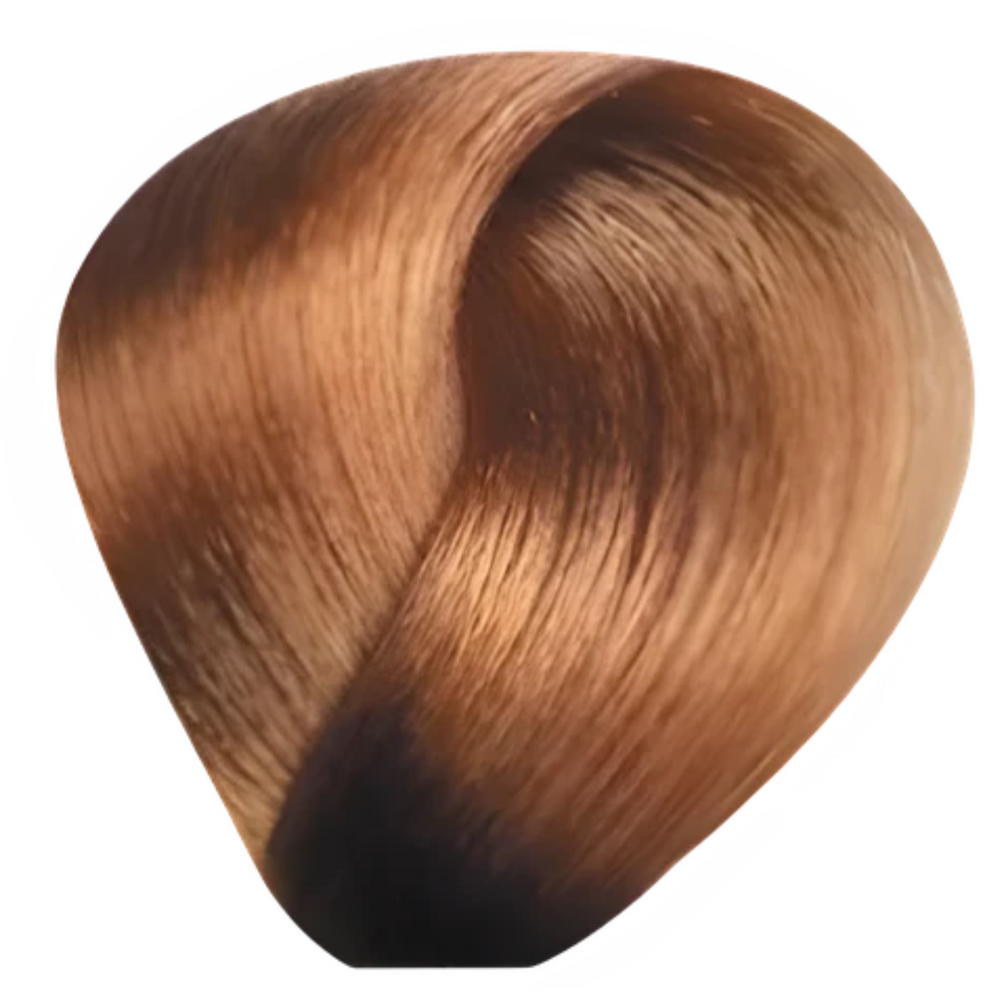 Bes Regal Zero - Coloration