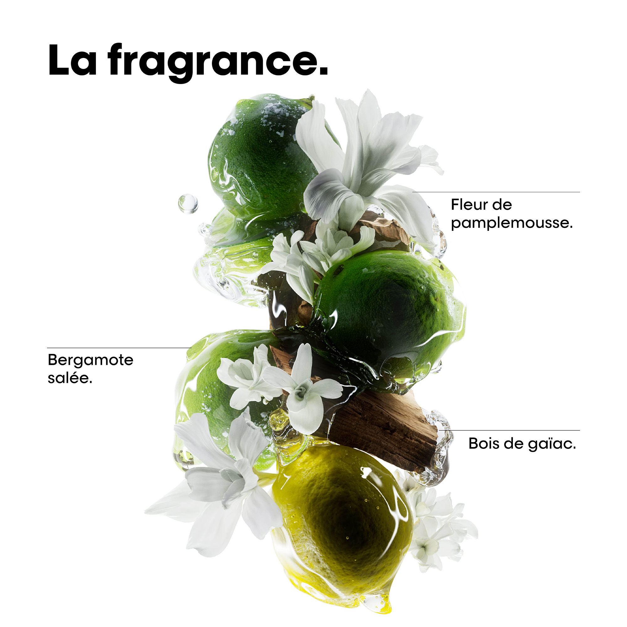 METAL DETOX - COFFRET DE NOËL ROUTINE SHAMPOOING, MASQUE ET TRAITEMENT
