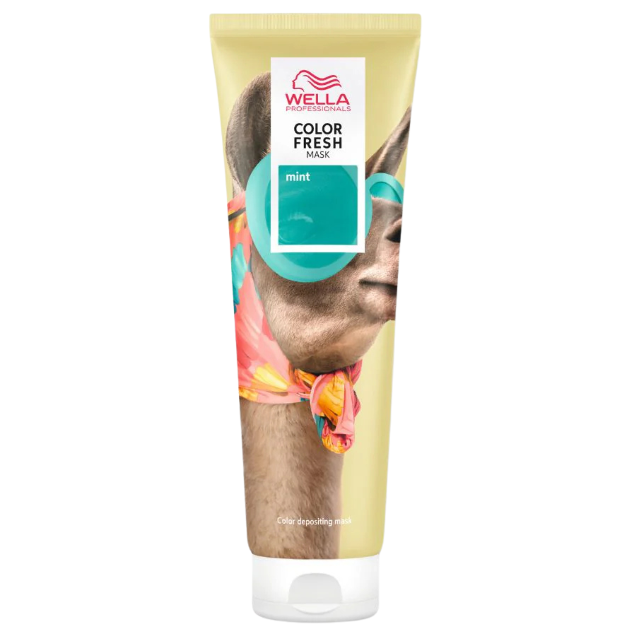 COLOR FRESH - MASQUE DÉPÔT DE COULEUR