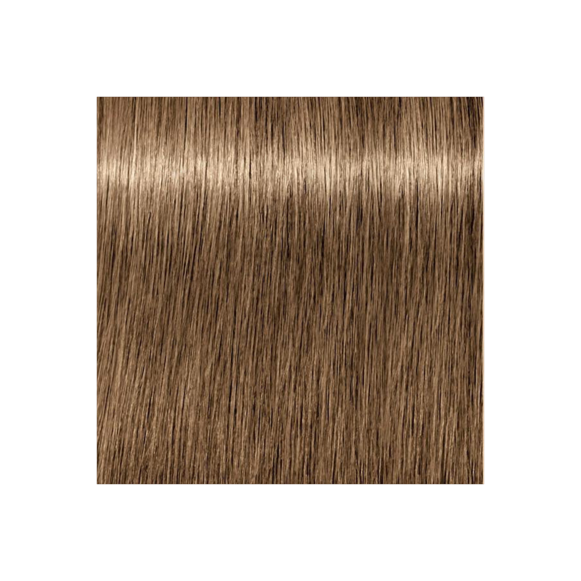 IGORA COLOR10 - COLORATION CRÈME PERMANENTE 10 MINUTES