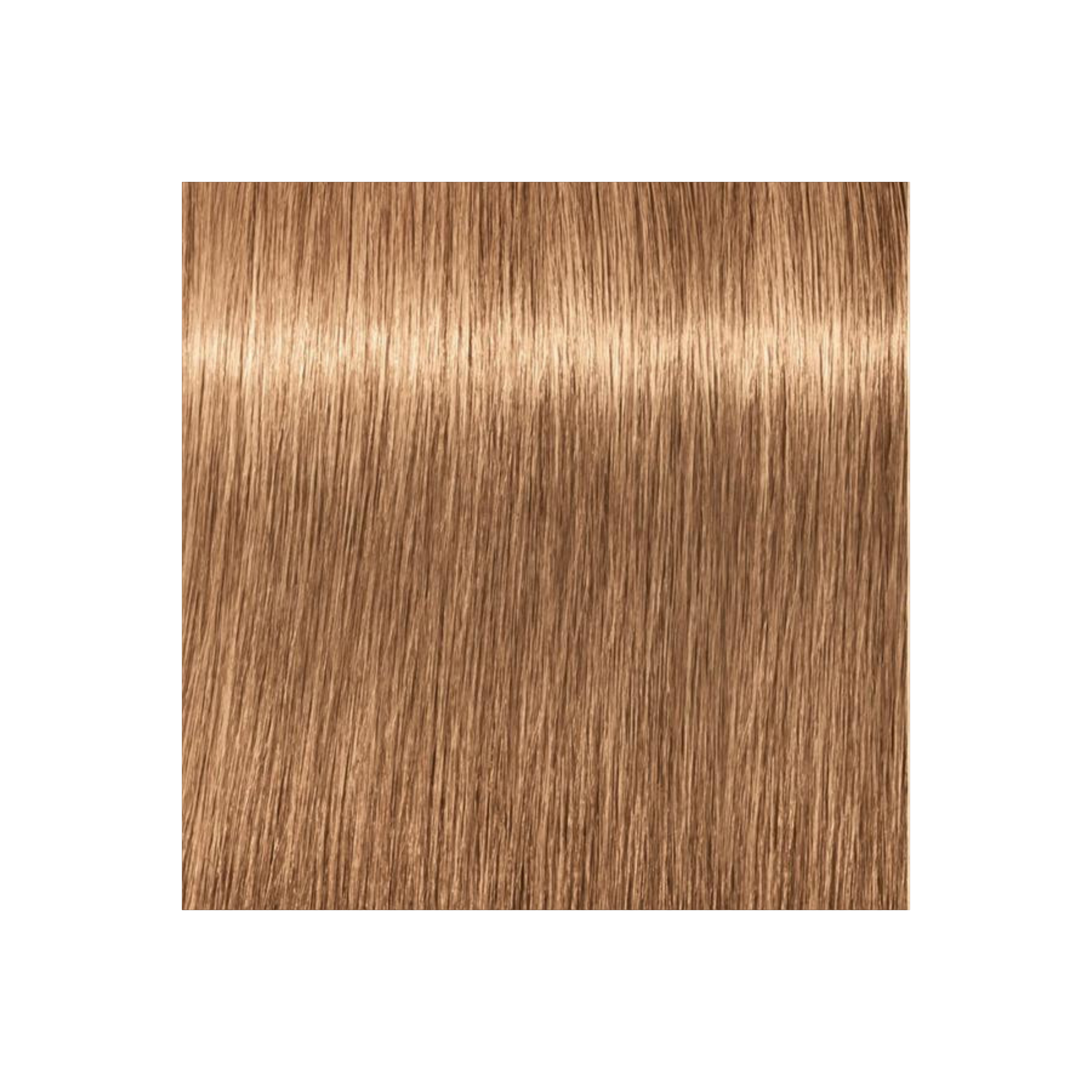 IGORA COLOR10 - COLORATION CRÈME PERMANENTE 10 MINUTES