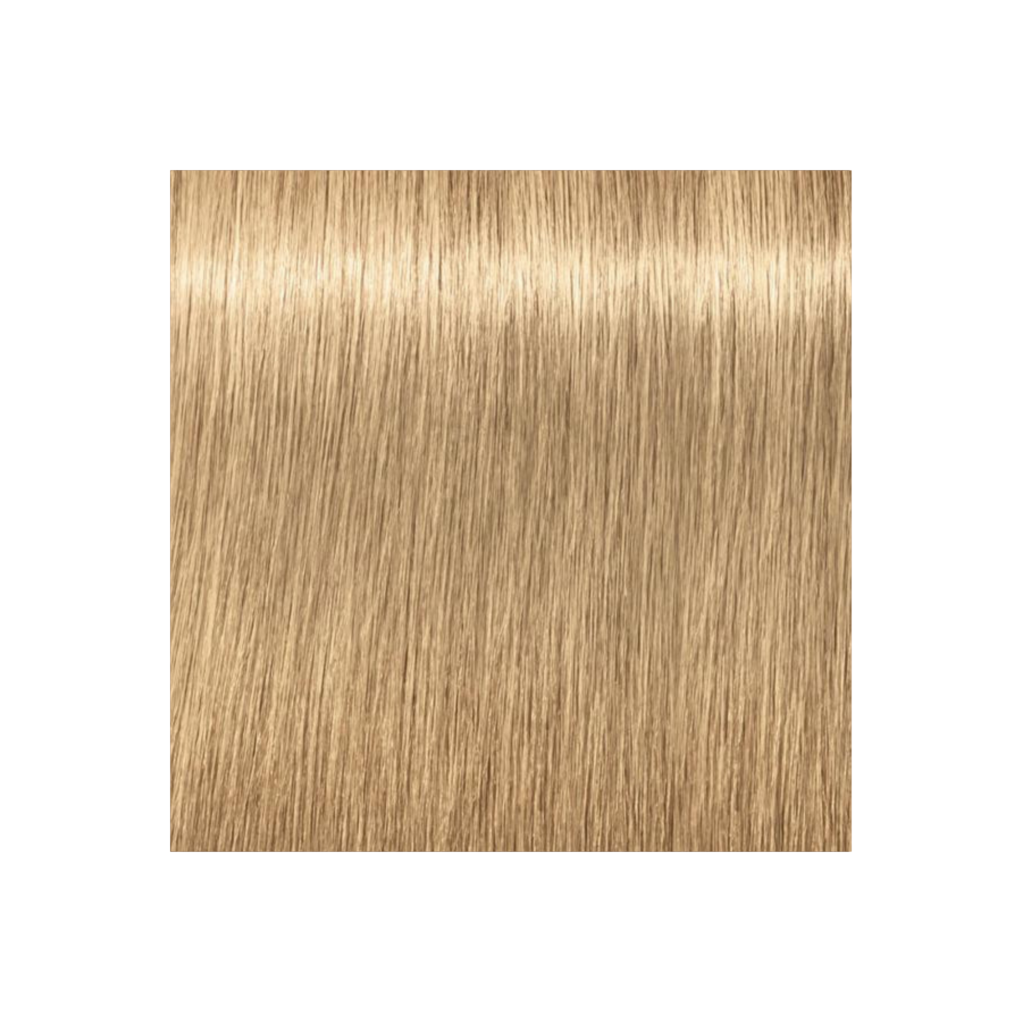 IGORA COLOR10 - COLORATION CRÈME PERMANENTE 10 MINUTES