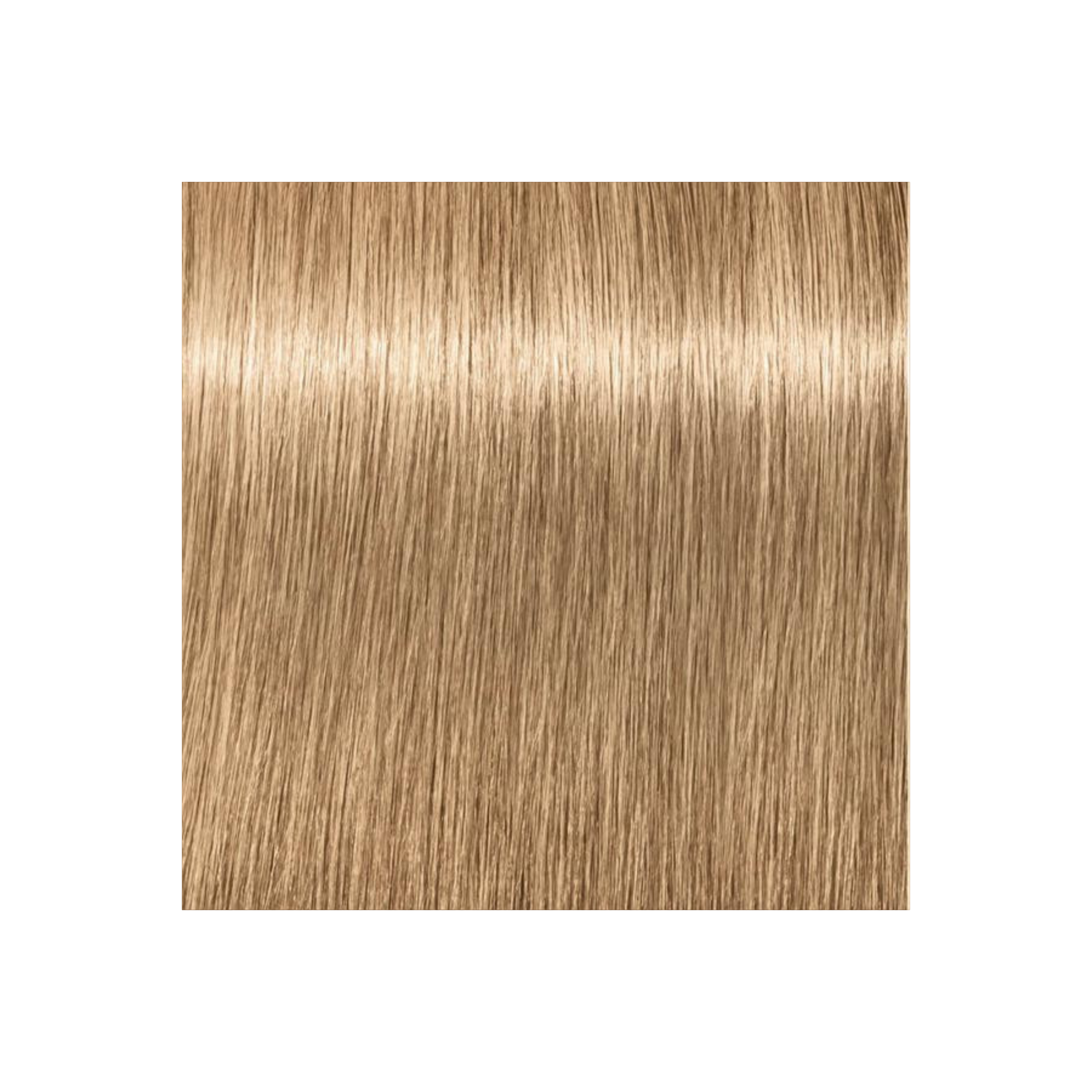 IGORA COLOR10 - COLORATION CRÈME PERMANENTE 10 MINUTES