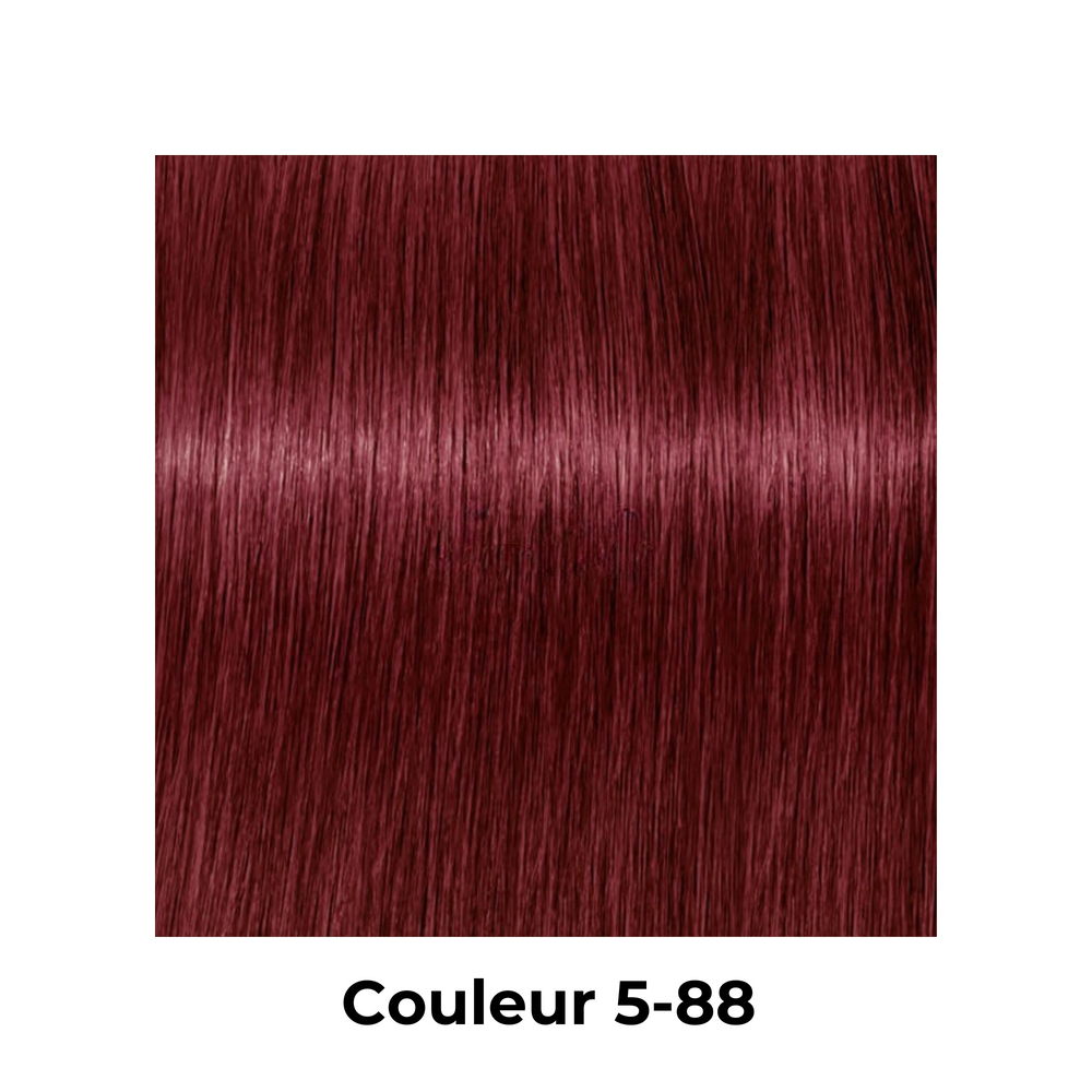 Igora Zéro AMM - Coloration permanente sans ammoniaque