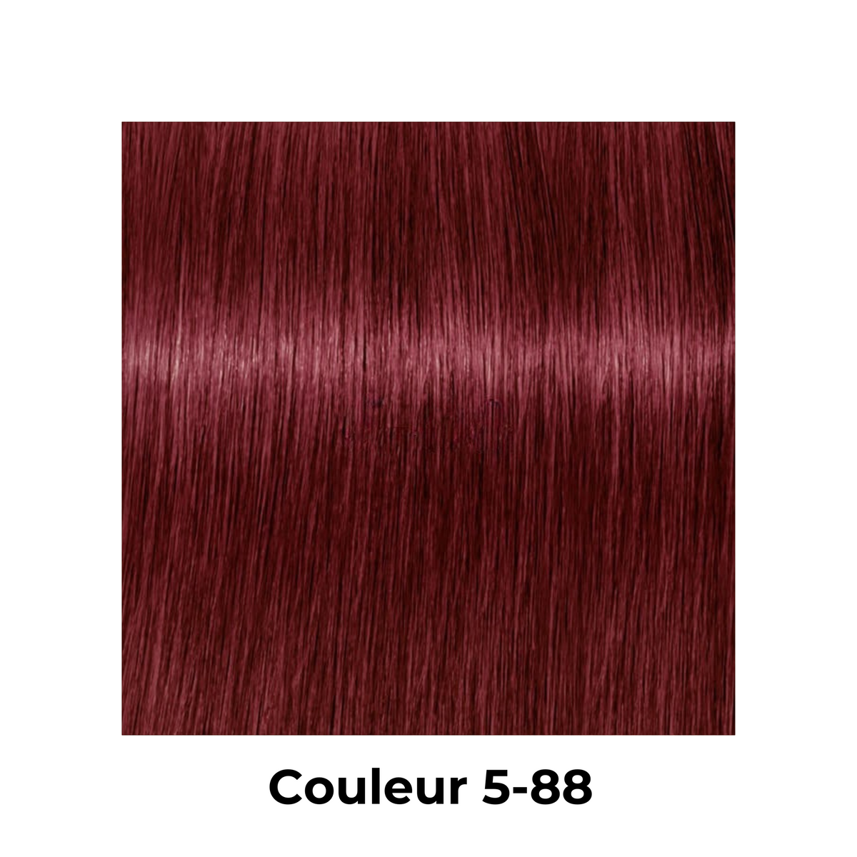 IGORA ZÉRO AMM - COLORATION PERMANENTE SANS AMMONIAQUE
