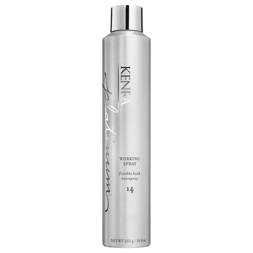 PLATINUM - SPRAY FIXATIF MALLÉABLE #14