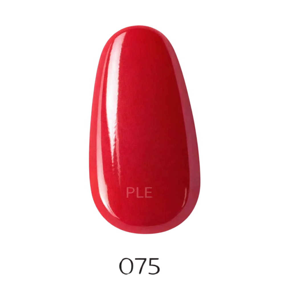 DIP POWDER