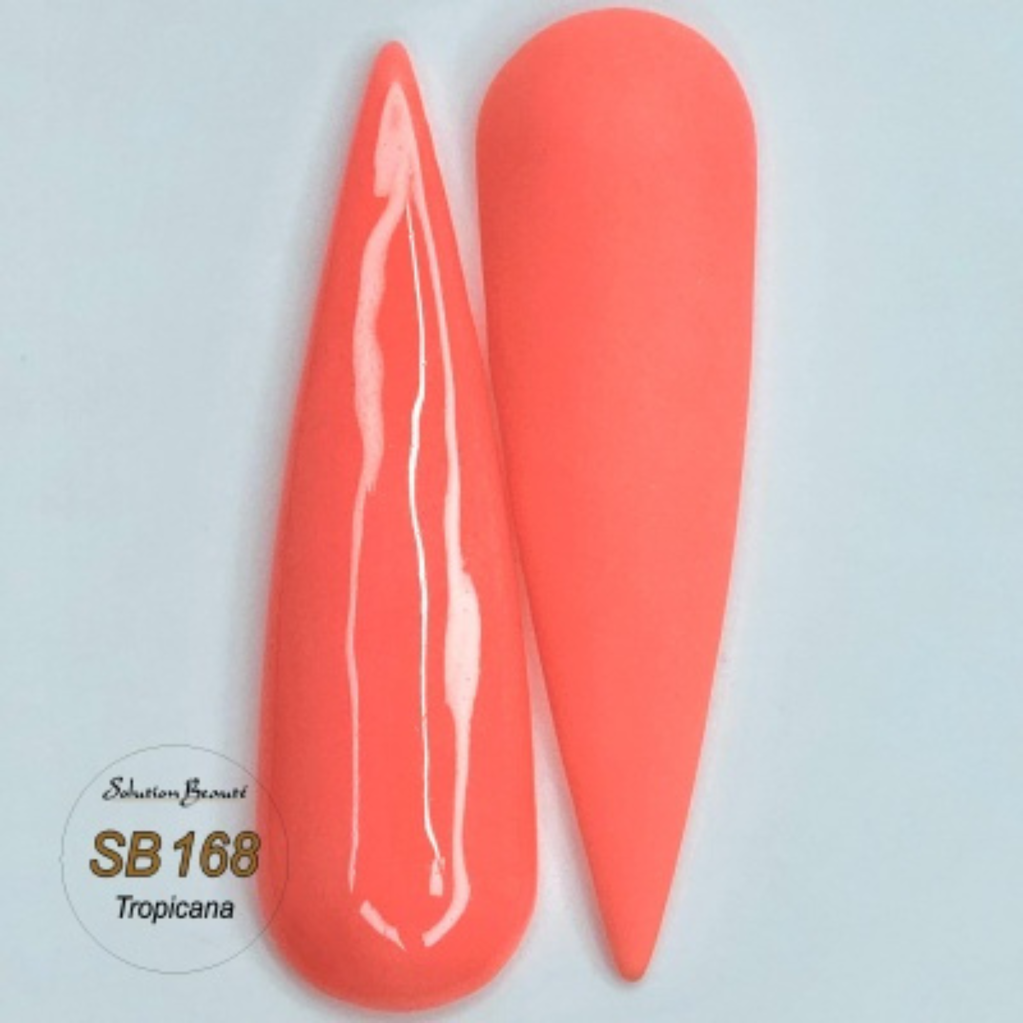 SOLUTION BEAUTÉ_Poudre pour ongles_-_Gisèle produits de beauté