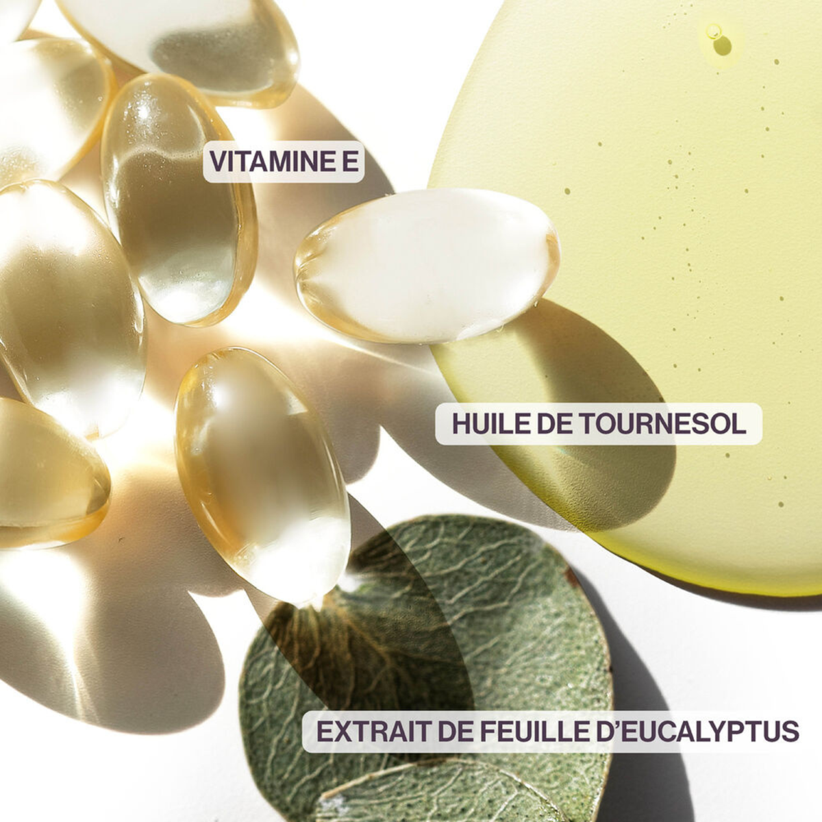 PURE VOLUME - COFFRET DES FÊTES