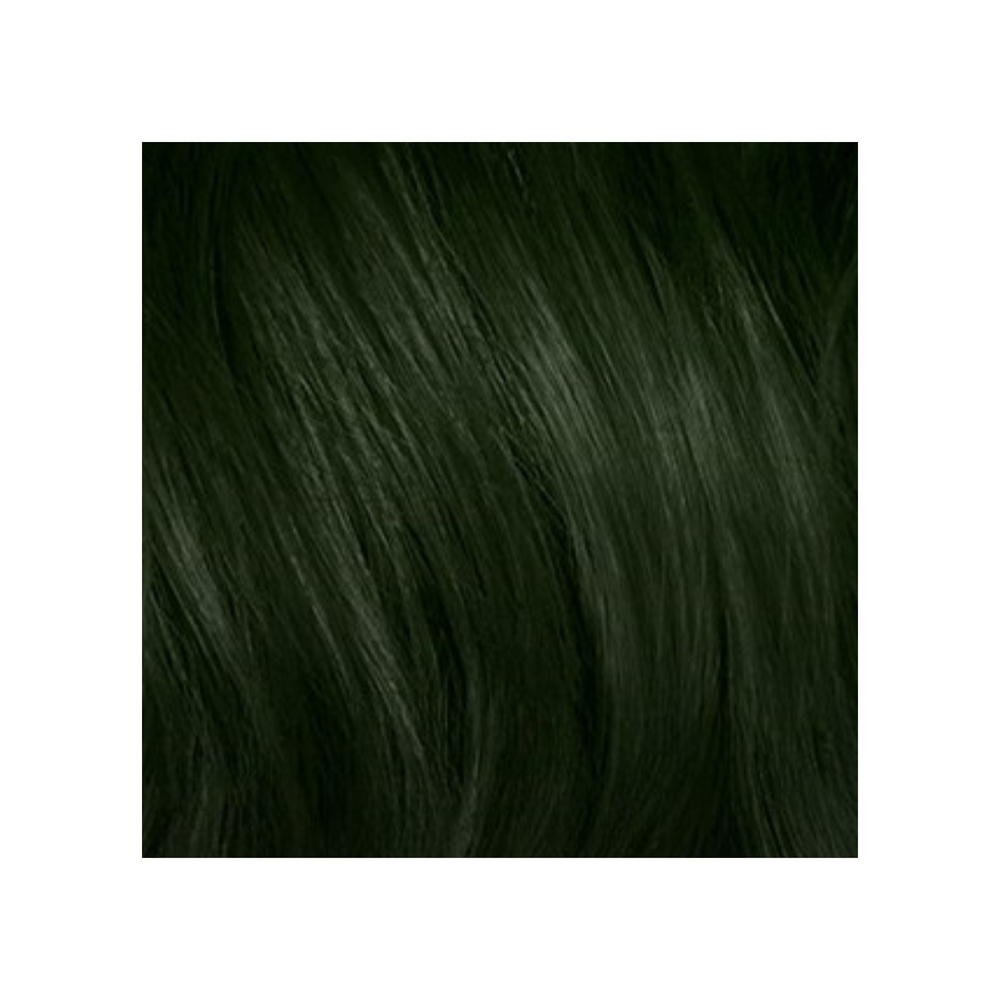 REVLONISSIMO COLORSMETIQUE - COLORATION PERMANENTE NATURELS