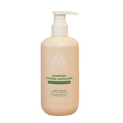 SHAMPOING CONTRÔLE SÉBUM